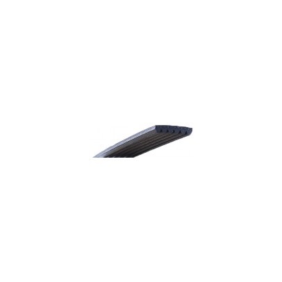 10PJ559-OPTIBELT