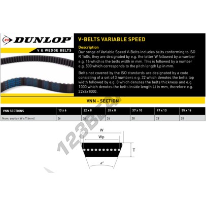 13X6X900-DUNLOP
