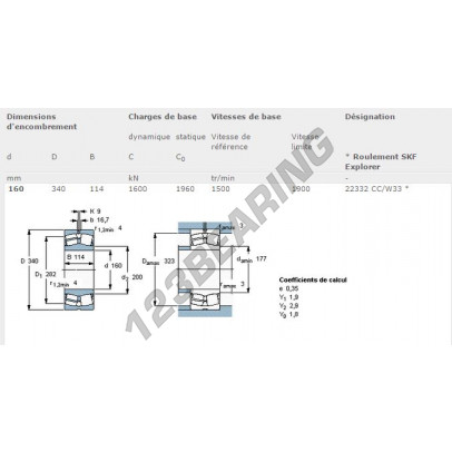 22332-CC-W33-SKF