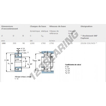 23136-CCK-W33-SKF