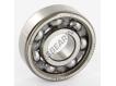 440146CC-SKF