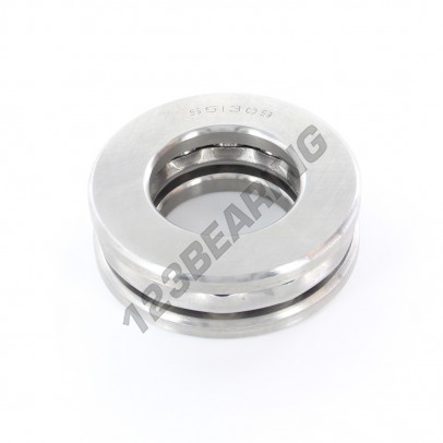 51309-INOX