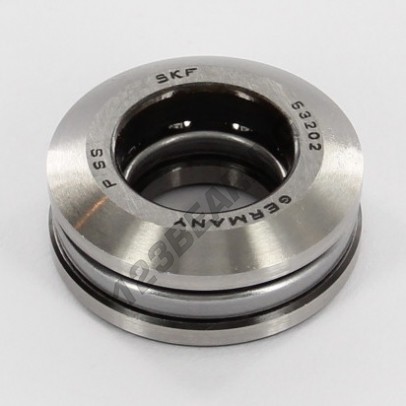 53202-SKF