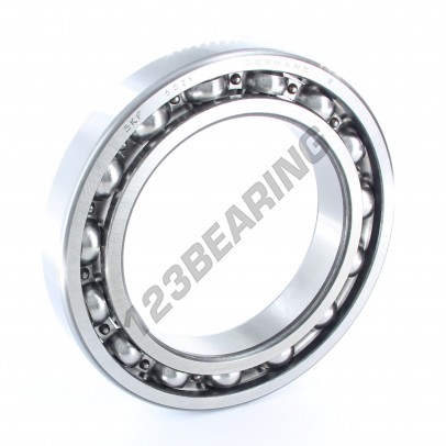 6021-SKF