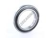 6024-2RS1-SKF