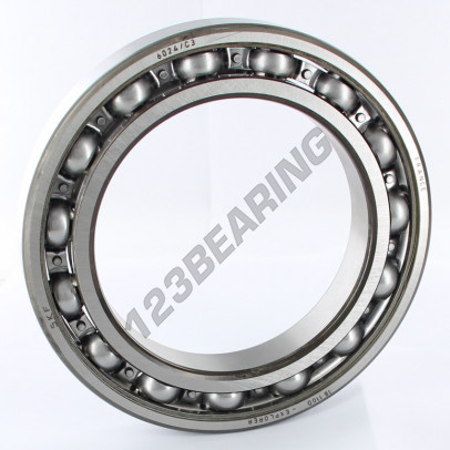 6024-C3-SKF