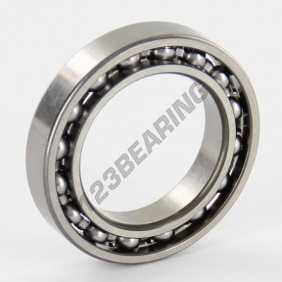 61803-SKF