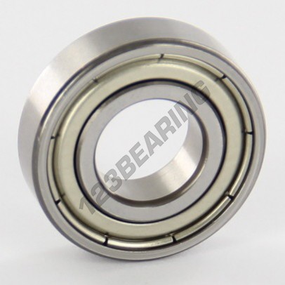 6900-ZZ-SKF