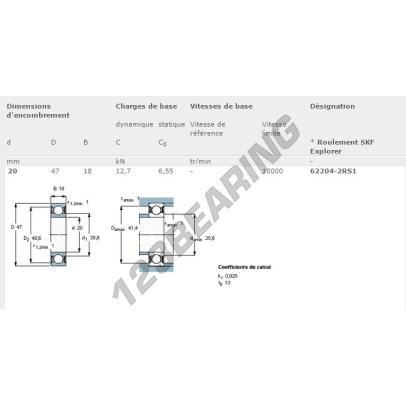 62204-2RS-SKF