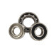 62207-2RS-SKF