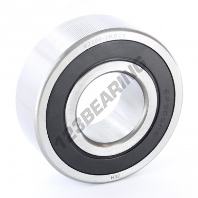 62309-2RS-ZEN