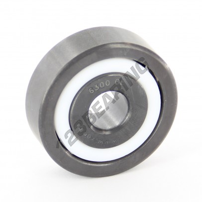 6300-CE-SI3N4-PTFE-ZEN