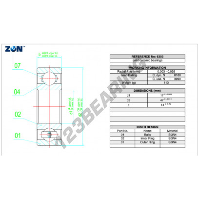 6303-CE-SI3N4-PTFE-ZEN