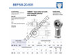 BEF5-8-20-501-DURBAL
