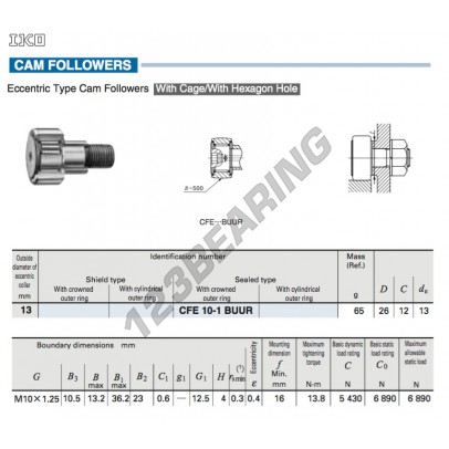 CFE10-1-BUUR-IKO