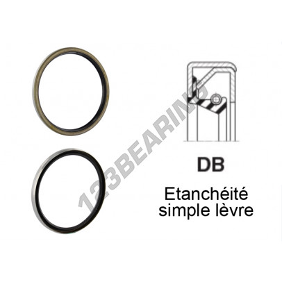DB-30X62X10-NBR