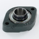 Cojinete hierro fundido - 2 fijaciones - FLCTEY25-INA