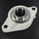 Cojinete hierro fundido - 2 fijaciones - FLPL208-SSUC208-INOX