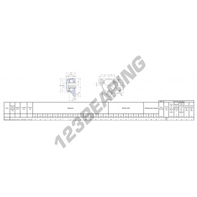 FNL-505-A-C-2205-K-H305-E-SKF