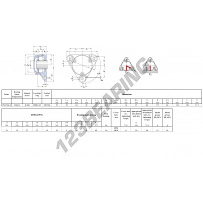 FNL-506-A-2206-K-H306-SKF