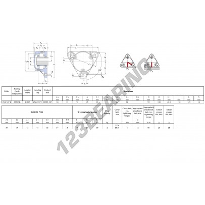 FNL-507-B-22207-K-H307-SKF