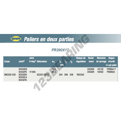 FR290X17-SNR