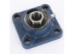FY20-TF-SKF