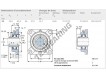 FY20-TF-SKF