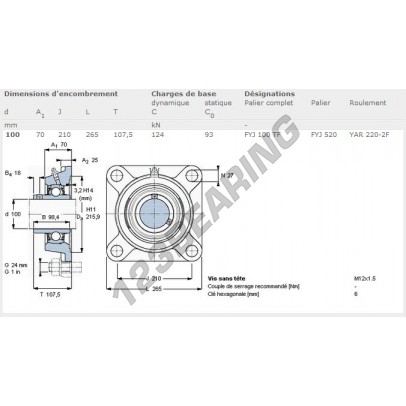 FYJ100TF-SKF