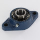 Cojinete hierro fundido - 2 fijaciones - FYTB25-TF-SKF