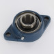 Cojinete hierro fundido - 2 fijaciones - FYTB35TF-SKF