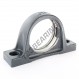 Cojinete hierro fundido - 2 fijaciones - GG-ASE-10-INA