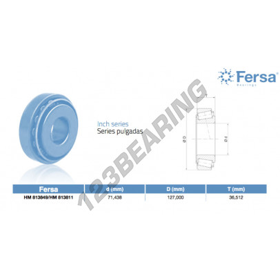 HM813849-HM813811-ASFERSA