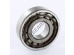 N306EG15-SNR