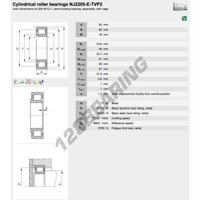 NJ2205-E-XL-TVP2-FAG