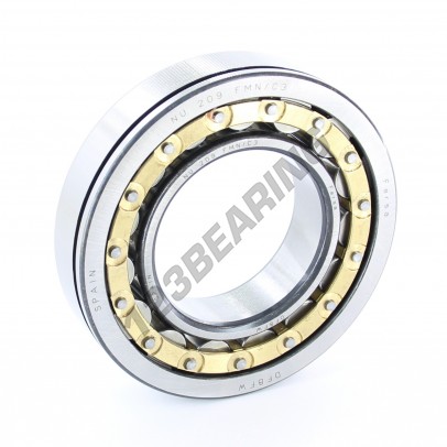 NU209-FM-N-C3-ASFERSA