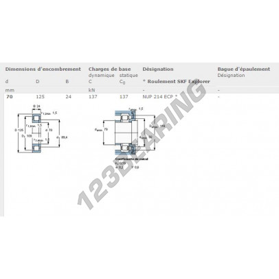 NUP214-ECP-SKF