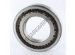 NUP214-SKF