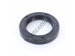 OAS-41X61X10-NBR