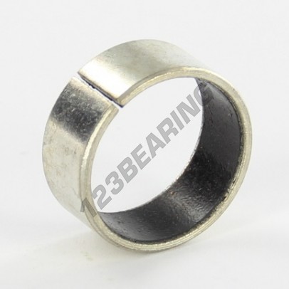 PAP2010-P10
