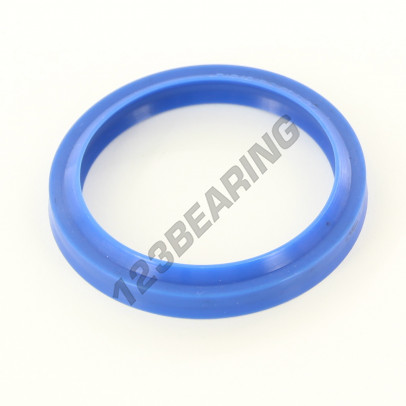 RDE-40X48X5-6.50-PU94