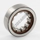 Rodamiento rodillos - RNU202-ECP-SKF