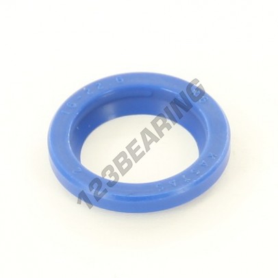 RS-16X22X2.80-4-PU94
