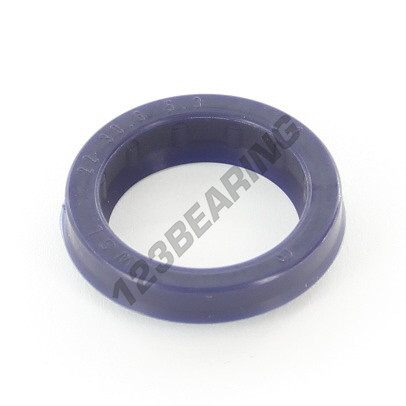 RS-22X30.60X5.30-7-PU94