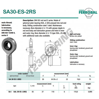 SA30-ES-2RS-DURBAL