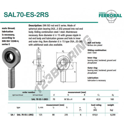 SAL70-ES-2RS-DURBAL