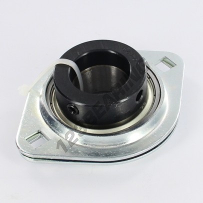 SAPFL207