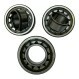 Rodamiento rodillos - SL045024-D-PP-2NR-INA