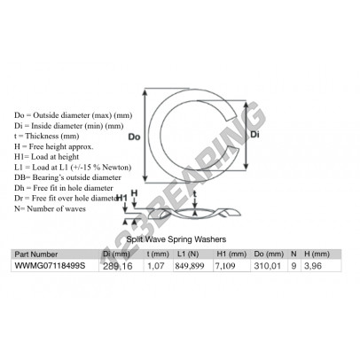 SWSW-310.01-289.16-1.07-9-SS