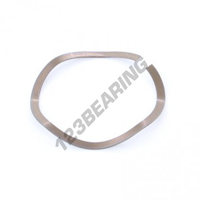 SWSW-57.15-49.02-0.61-4-SS